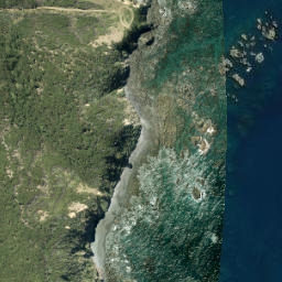 Satellite imagery of Fowler Point, NZ