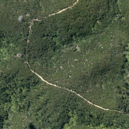Satellite imagery of Fowler Point, NZ