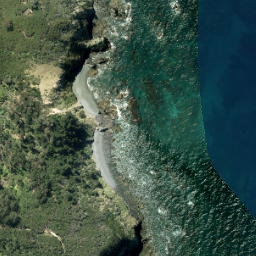 Satellite imagery of Fowler Point, NZ