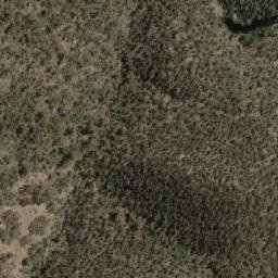 Satellite imagery of Winifred Hill, AU