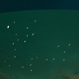 Satellite imagery of 3452, NZ