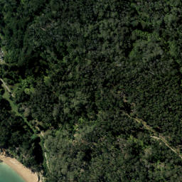 Satellite imagery of Percy Point, NZ