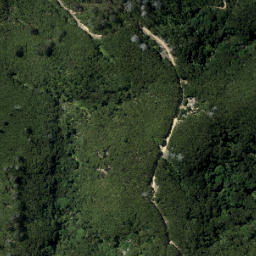Satellite imagery of Brownrigg Point, NZ