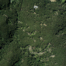 Satellite imagery of Brownrigg Point, NZ