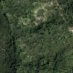 Satellite imagery of Brownrigg Point, NZ