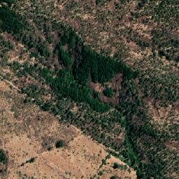 Satellite imagery of Cerro Gualte, CL