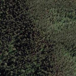 Satellite imagery of Higgins Knob, AU