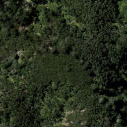 Satellite imagery of Percy Point, NZ