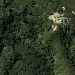 Satellite imagery of Brownrigg Point, NZ