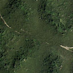 Satellite imagery of Brownrigg Point, NZ