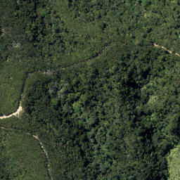 Satellite imagery of Brownrigg Point, NZ