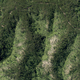 Satellite imagery of VII GREY HEIGHTS, NZ