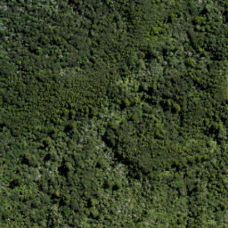 Satellite imagery of 10 ATUANUI (MT AUCKLAND), NZ