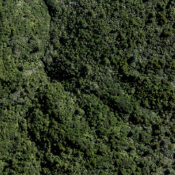 Satellite imagery of 10 ATUANUI (MT AUCKLAND), NZ