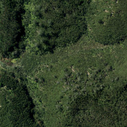 Satellite imagery of Brownrigg Point, NZ