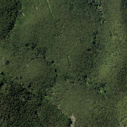 Satellite imagery of Brownrigg Point, NZ