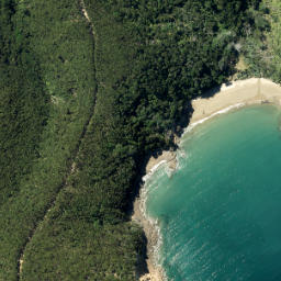 Satellite imagery of Brownrigg Point, NZ
