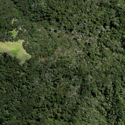 Satellite imagery of 10 ATUANUI (MT AUCKLAND), NZ