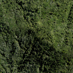 Satellite imagery of 10 ATUANUI (MT AUCKLAND), NZ