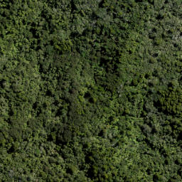 Satellite imagery of 10 ATUANUI (MT AUCKLAND), NZ