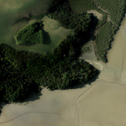 Satellite imagery of Bradley Point, NZ