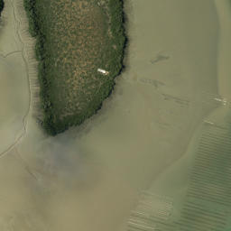 Satellite imagery of Bradley Point, NZ