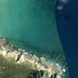 Satellite imagery of Kawau Point, NZ
