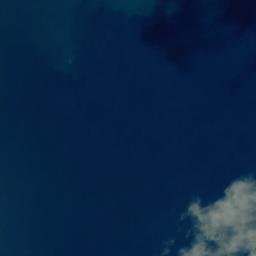 Satellite imagery of Kawau Point, NZ