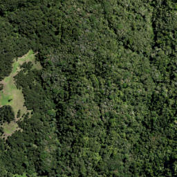 Satellite imagery of 10 ATUANUI (MT AUCKLAND), NZ