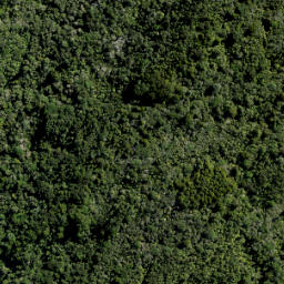 Satellite imagery of 10 ATUANUI (MT AUCKLAND), NZ