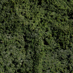 Satellite imagery of 10 ATUANUI (MT AUCKLAND), NZ