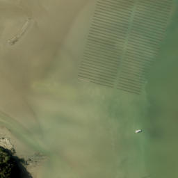 Satellite imagery of Bradley Point, NZ