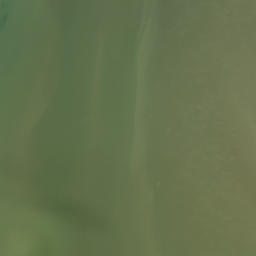 Satellite imagery of Bradley Point, NZ