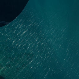 Satellite imagery of Elizabeth Point, NZ
