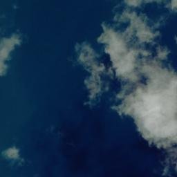Satellite imagery of Kawau Point, NZ