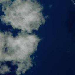Satellite imagery of Kawau Point, NZ