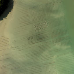 Satellite imagery of Bradley Point, NZ