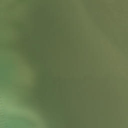 Satellite imagery of Bradley Point, NZ