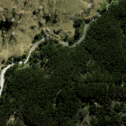 Satellite imagery of 3394, NZ