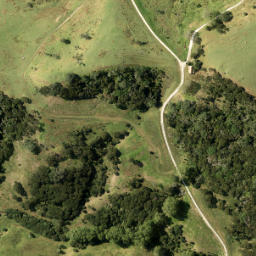 Satellite imagery of 3481, NZ