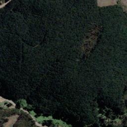 Satellite imagery of Punta Burca, CL