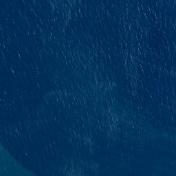 Satellite imagery of Kaiiti Point, NZ