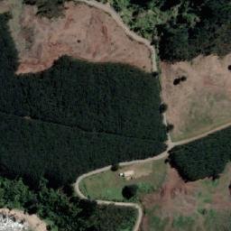 Satellite imagery of Punta Burca, CL