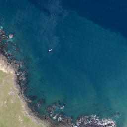 Satellite imagery of Kaiiti Point, NZ