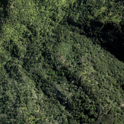 Satellite imagery of IX TARANAKI, NZ