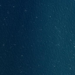 Satellite imagery of Kaiiti Point, NZ