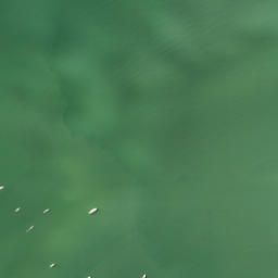 Satellite imagery of Opaheke Point, NZ