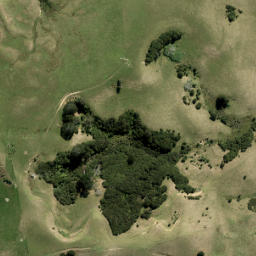 Satellite imagery of 3395 NO 2, NZ