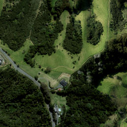 Satellite imagery of Tawhitikahu Ridge, NZ