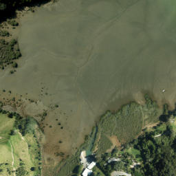 Satellite imagery of Opahi Point, NZ